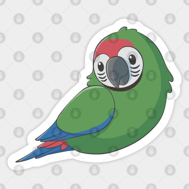 Cute fluffy military macaw Sticker by AniBeanz